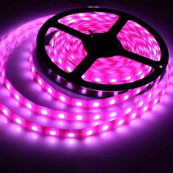 LED ŞERİTİÇ MEKAN PEMBE RENK AAAKALİTE