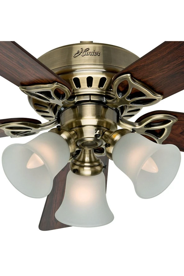 Hunter Fan - Beacon Hill Antik Pirinç - 107 Cm. Aydınlatmalı Tavan Vantilatörü - 2