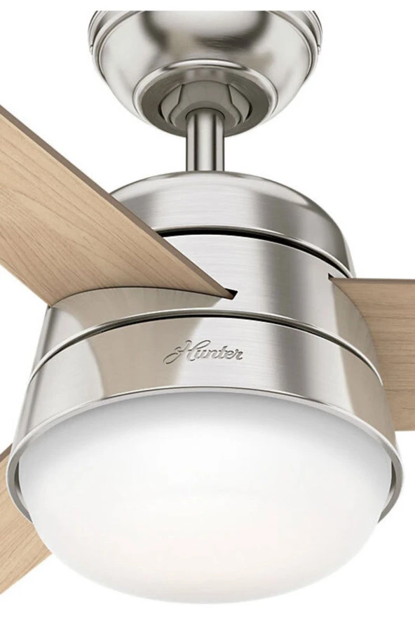 Hunter Fan - Finley Fırçalanmış Nikel - 92 Cm. Aydınlatmalı ve Uzaktan Kumandalı Tavan Vantilatörü - 3