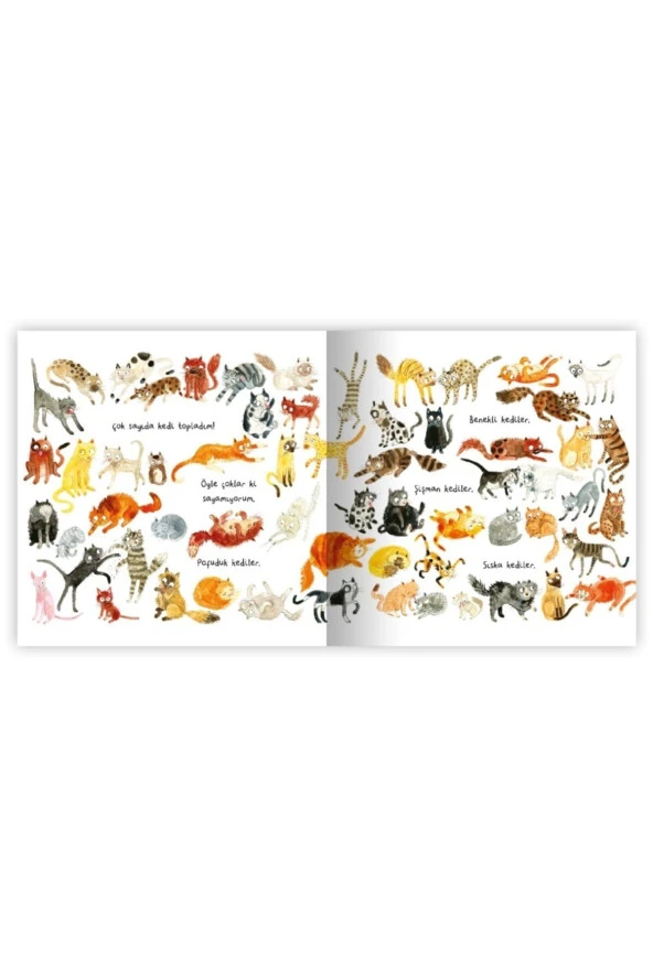 Kedi Koleksiyonu - 2