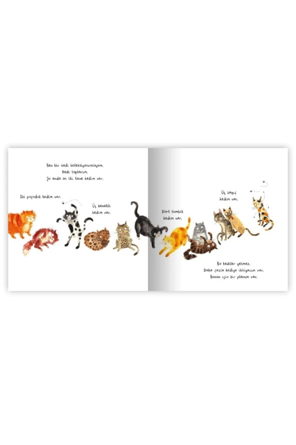 Kedi Koleksiyonu - 3