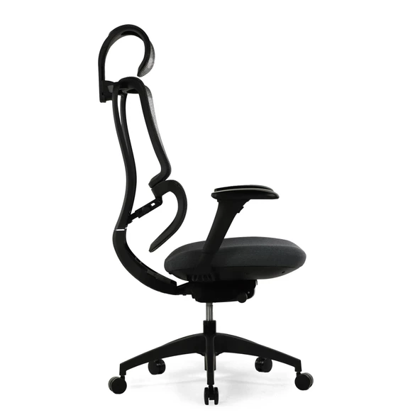 Seduna Evora Premium Black Ofis Koltuğu | Yönetici Koltuğu - 5
