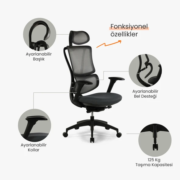 Seduna Evora Premium Black Ofis Koltuğu | Yönetici Koltuğu - Resim 3