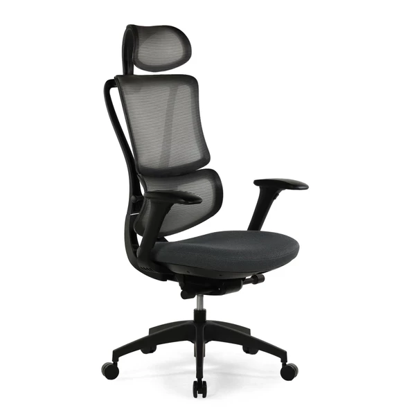 Seduna Evora Premium Black Ofis Koltuğu | Yönetici Koltuğu - 2