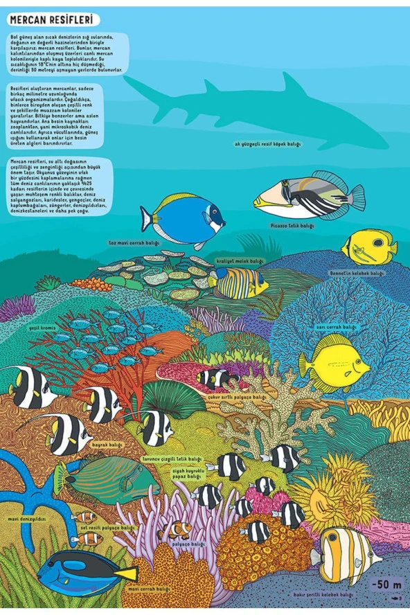 Yer Altı Su Altı - Resim 3