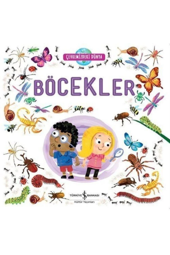 Çevremizdeki Dünya Böcekler
