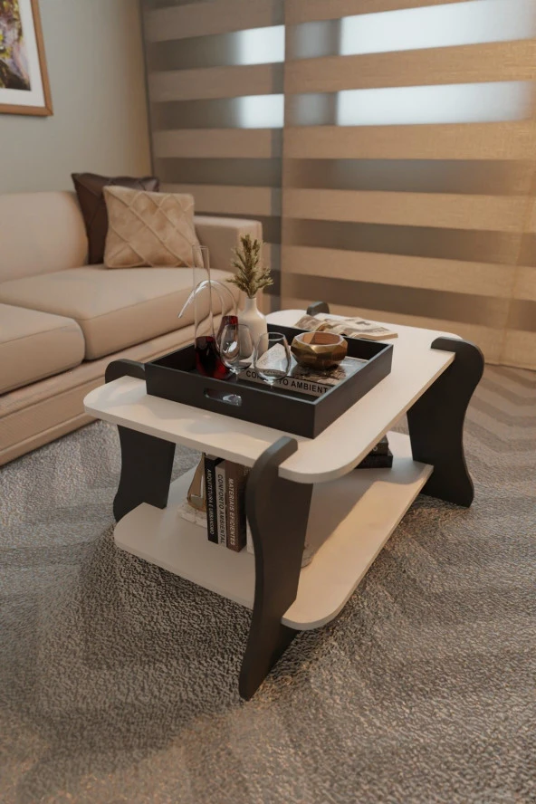 FurnatureDesign Soul Orta Sehpa İki Raflı Dekoratif Orta Sehpa Antrasit - Beyaz