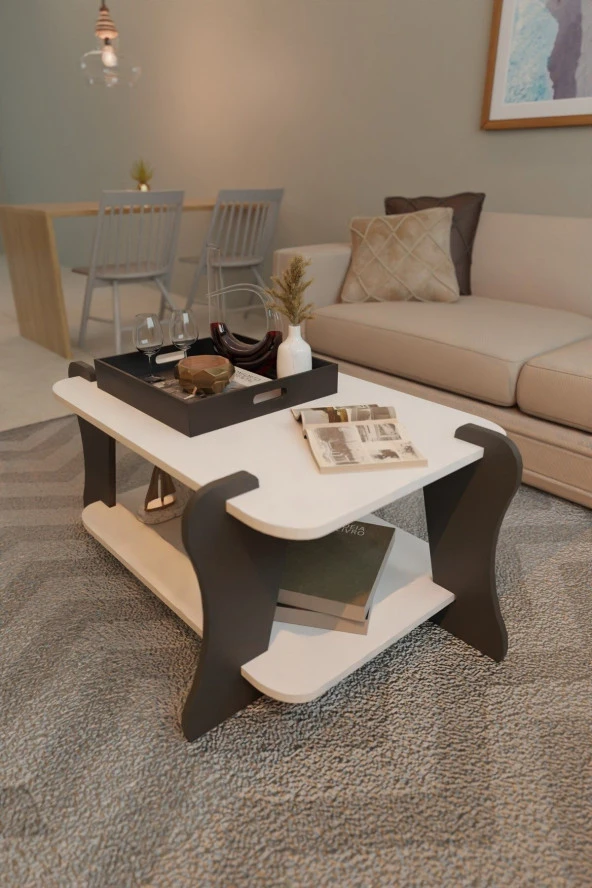 FurnatureDesign Soul Orta Sehpa İki Raflı Dekoratif Orta Sehpa Antrasit - Beyaz - 2