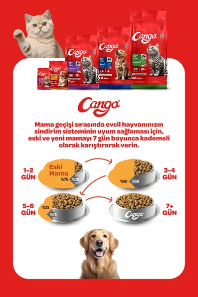 Cango Yetişkin Köpek Maması Kuzu Etli Pirinçli 15KG - 5