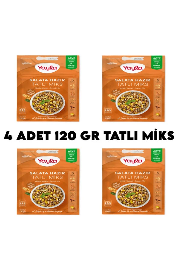 4 Adet Tatlı Miks Hazır Salata