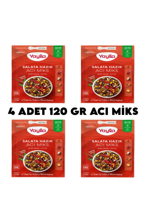 4 Adet Acı Miks Hazır Salata