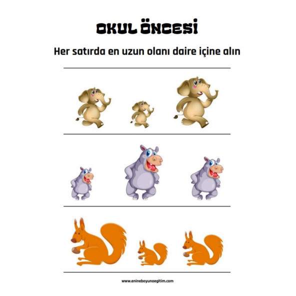 Okul Öncesi ve Birinci Sınıflar Matematik Başlangıç Seti - Resim 5