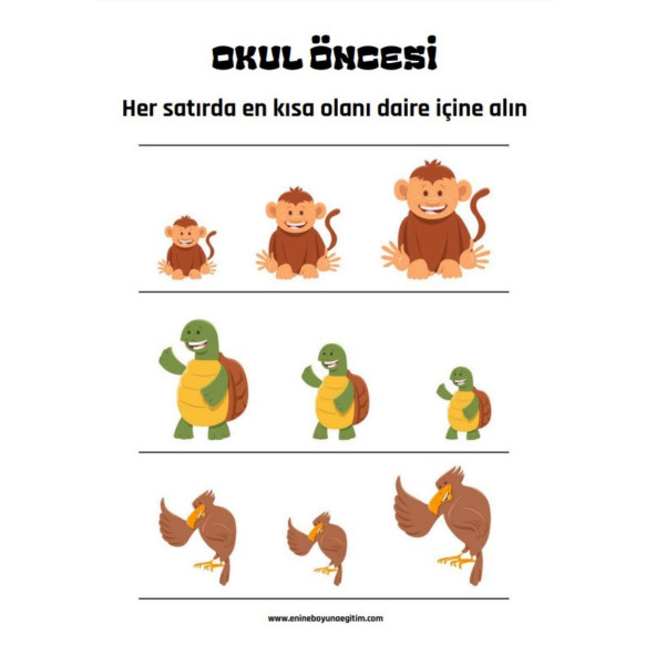 Okul Öncesi ve Birinci Sınıflar Matematik Başlangıç Seti - Resim 6