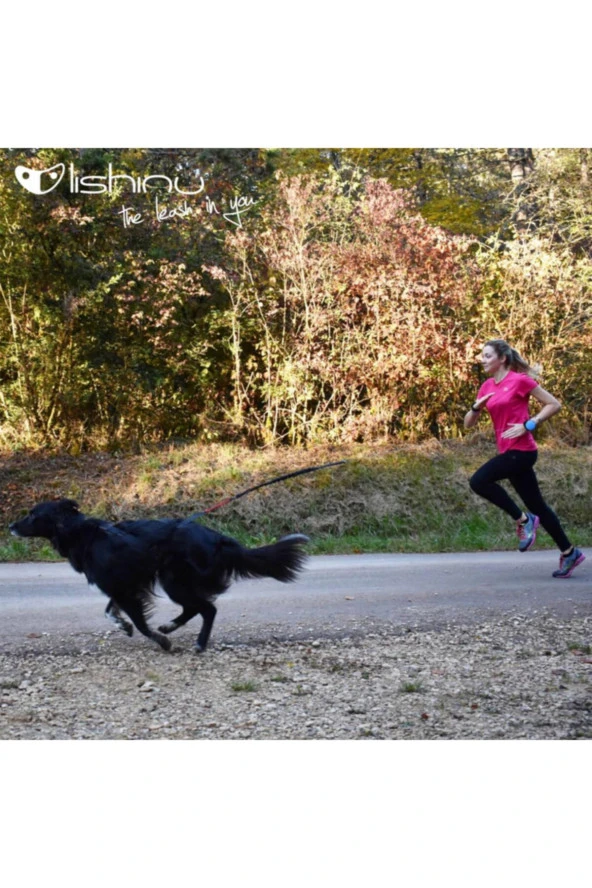 Lishinu Yeşil Akıllı Kontrol Gezdirme M 8-12 Kg - Resim 2