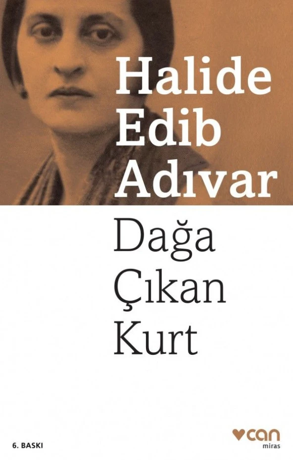 Dağa Çıkan Kurt - Halide Edib Adıvar ürün görseli 1