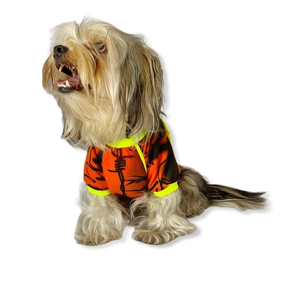 Orange Grafiti Sweat by Kemique Köpek Kazağı - 2