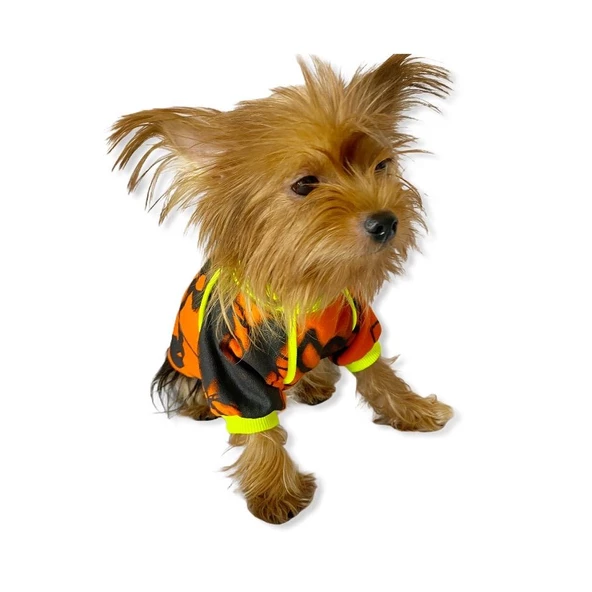 Orange Grafiti Sweat by Kemique Köpek Kazağı - 4