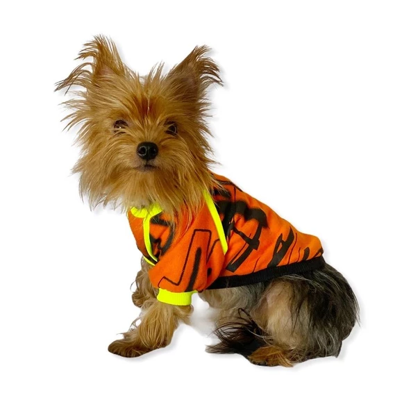 Orange Grafiti Sweat by Kemique Köpek Kazağı - 3