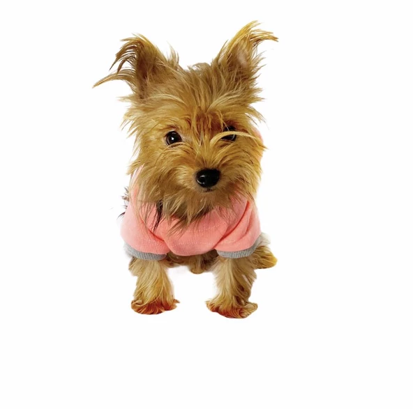 Pink Bunny Braid Kapşonlu Sweat by Kemique Köpek Kazağı - 5