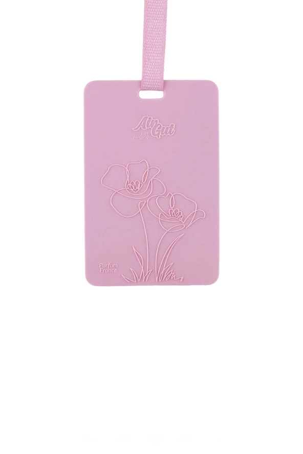 AIRGUT3962 KOKU ASMA ARAC ICI TATLI DUSLER - Resim 2