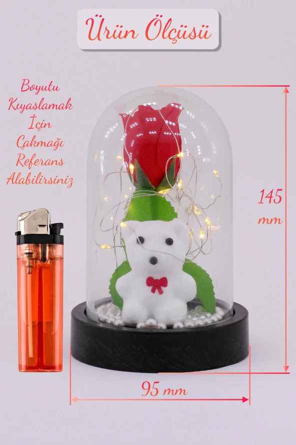 3 Modlu Led Işıklı Fanus İçinde Beyaz Ayıcık Detaylı Sevgiliye Hediyelik Dekoratif Gece Lambası - 3