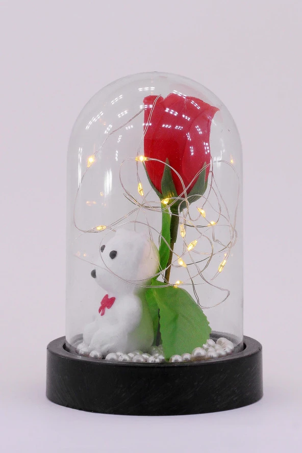 3 Modlu Led Işıklı Fanus İçinde Beyaz Ayıcık Detaylı Sevgiliye Hediyelik Dekoratif Gece Lambası - 4