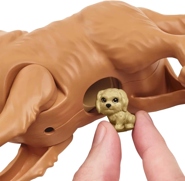 Barbie ve Yeni Doğan Köpekler Oyun Seti, 3 yaş ve üzeri, HCK75 - 4