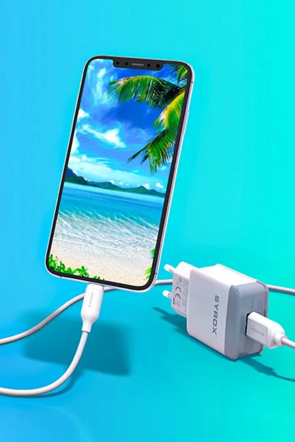 SYROX Q30 MiKRO USB HIZLI SARJ + KABLO 3.0A - 4