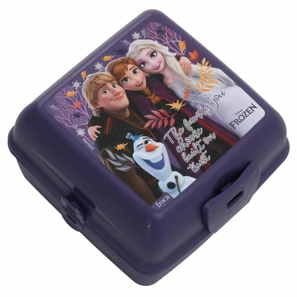 Frozen 4 Bölmeli Plastik Beslenme Kutusu Mor (OTTO-42550)