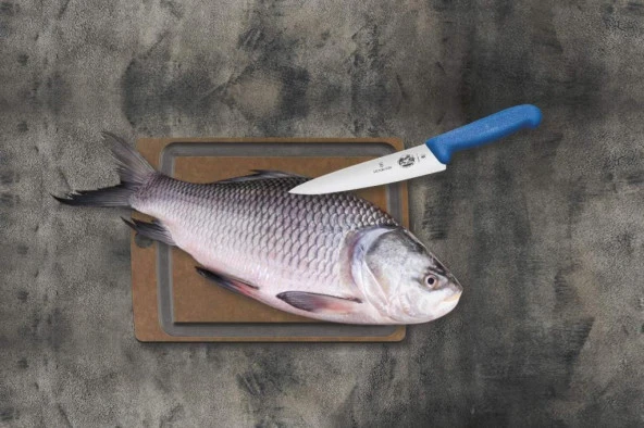 Victorinox 25cm Dilimleme Şef Bıçağı 5.2002.25 Mavi - 5