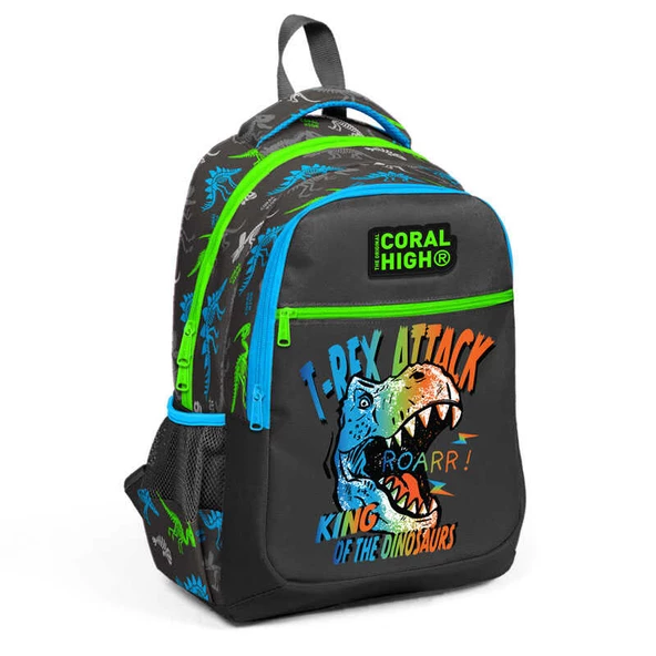 Coral High Kids Gri Dinozor Desenli Üç Bölmeli Okul Sırt Çantası 23482