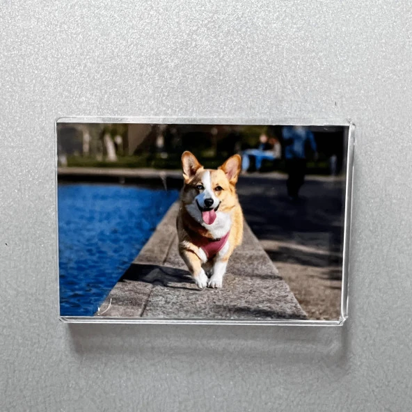 U Tipi Dikey Mıknatıslı Card 2,17"x3,58" - 5,5x9,1 cm Fotoğraflık - 5 Lİ PAKET - 6