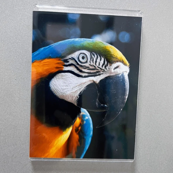 U Tipi Yatay Mıknatıslı 7" x 10" - 18x25 cm Fotoğraflık - 5 Lİ PAKET - 5