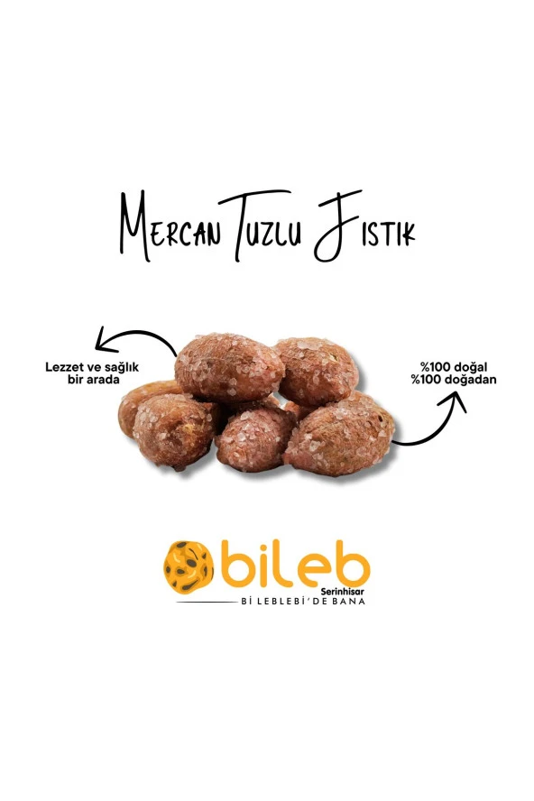 Tuzlu Fıstık 400 gr ( Mercan Fıstık )