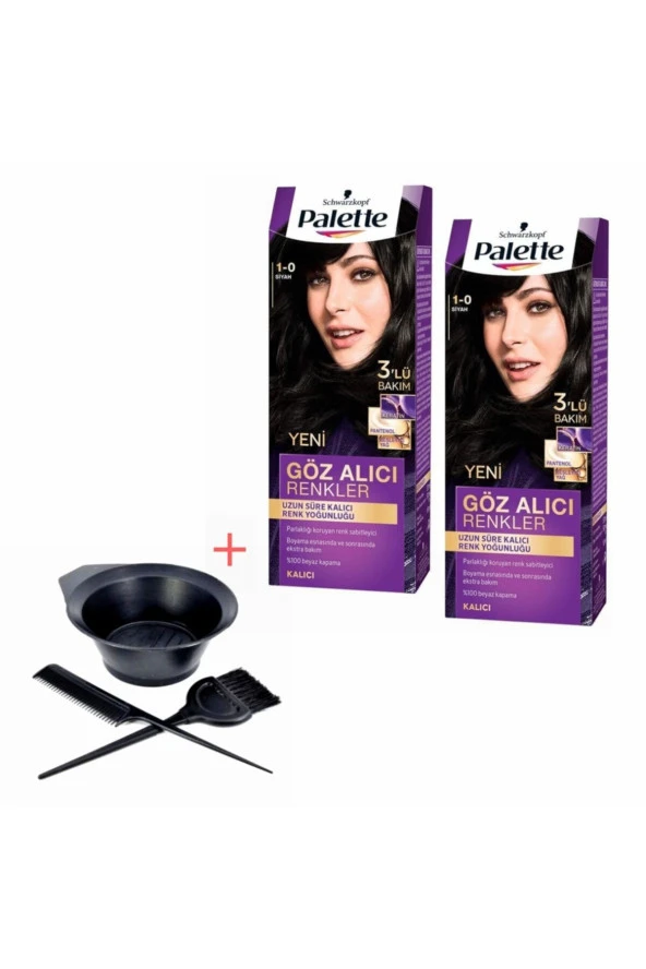 Palette Göz Alıcı Renkler 1-0 Siyah X 2 Adet+boyama Seti ürün görseli