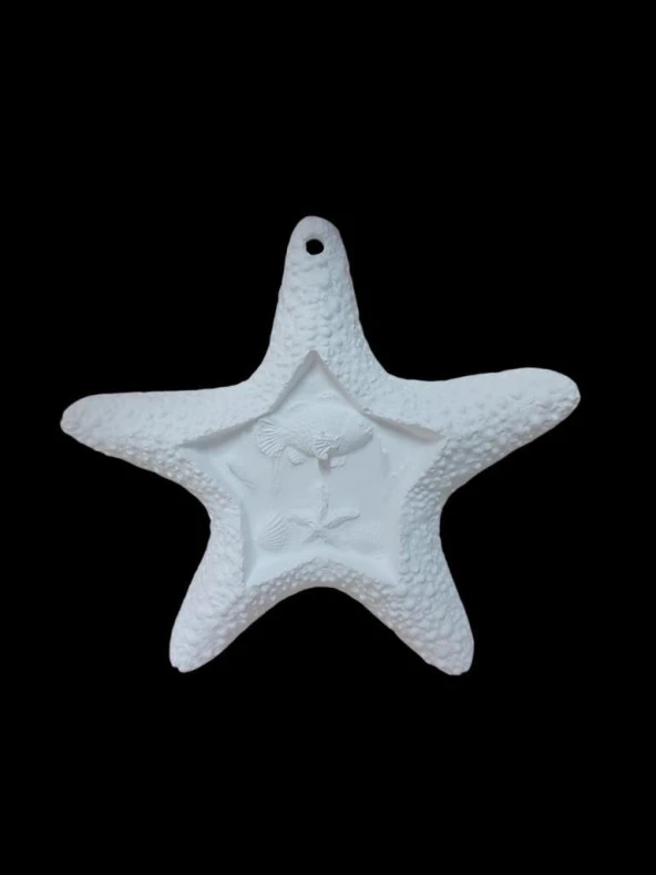 Deniz Yıldızı 17x16cm ürün görseli