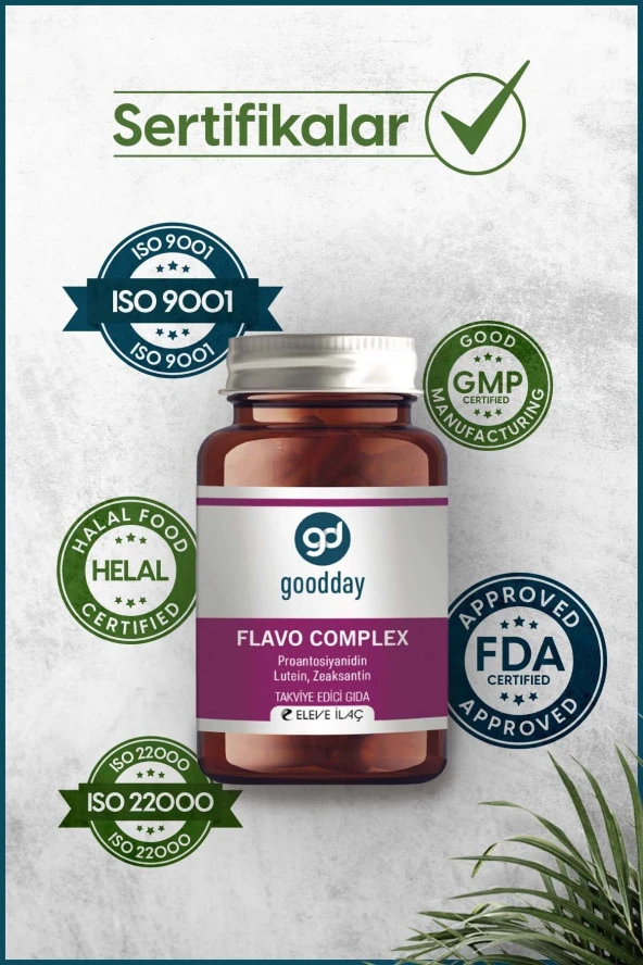 Goodday Flavo Complex 60 Tablet - 5