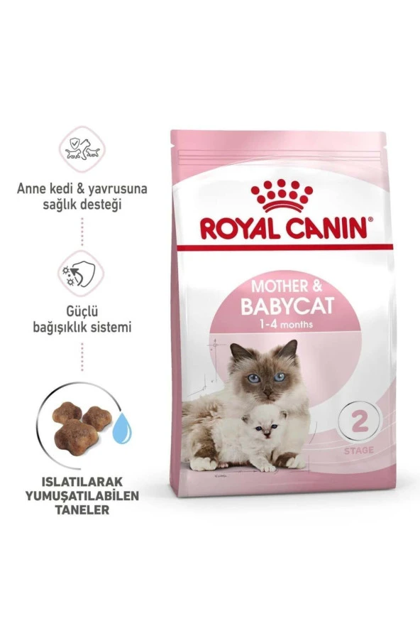 Royal Canin BabyCat Kedi Maması 4 kg