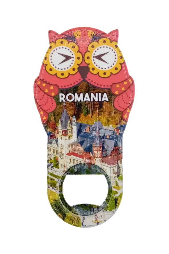 Romanya Temalı Baykuş Magnet Kapak Açacak - Resim 3