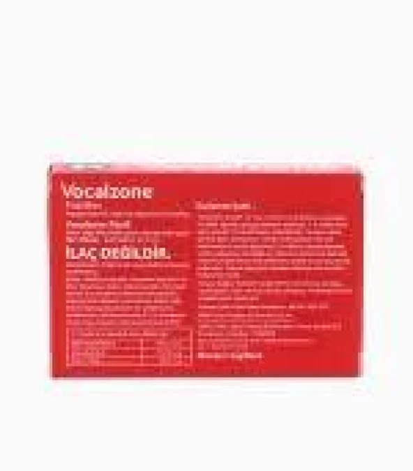 Vocalzone Klasik 24 Pastil - 2