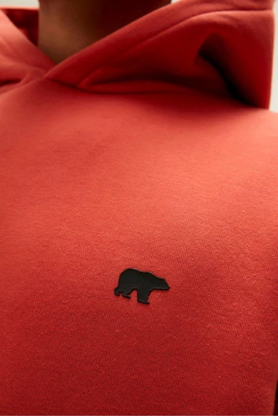 BAD BEAR ERKEK CORDLESS HOODIE 22.02.12.036 - Resim 5