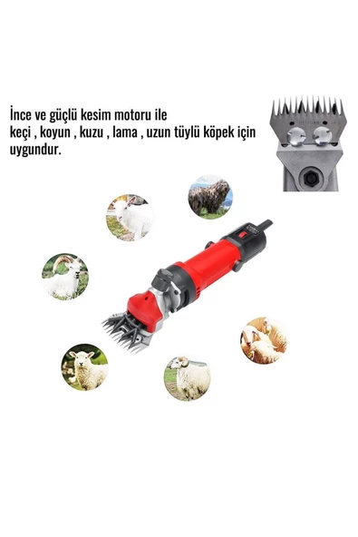 EKİNLER Ekinler Koyun Keçi Kırkma Makinesi (Kırmızı) EEA151 - 3