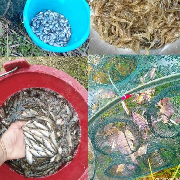 Valkyrie 21 Delikli Balık Kafesi Dayanıklı Göz Tuzak Balıkçılık Yengeç Zokası - 2