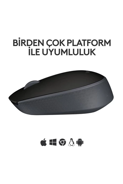 M171 USB Alıcılı Kablosuz Kompakt Mouse - Siyah 910-004424