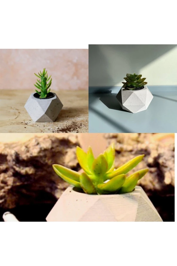 Geometrik Saksılarda 3 Adet Kaktüs