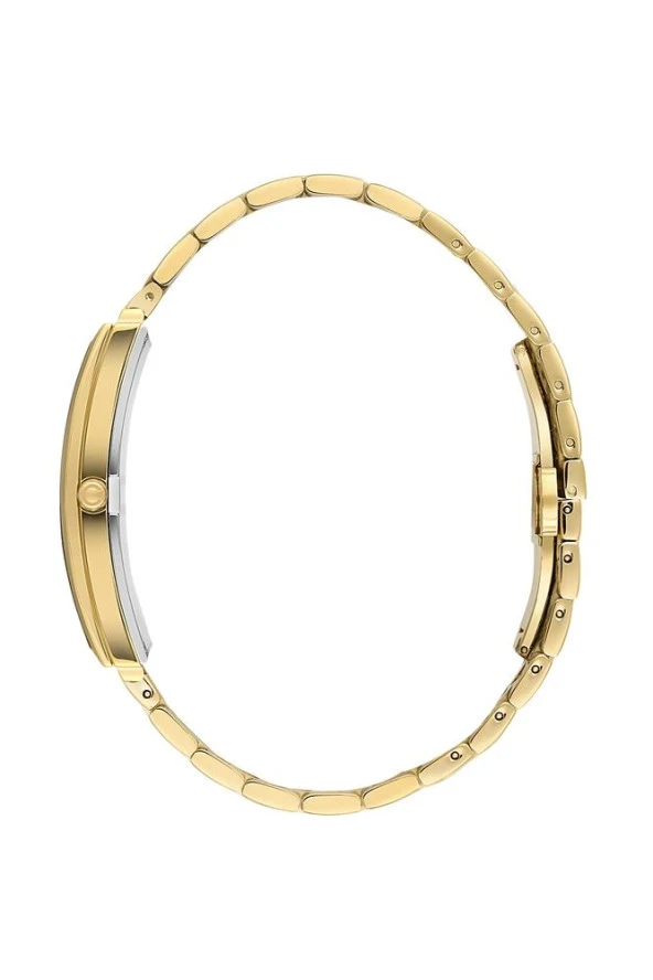 Pacomarine PM.23202.04 Erkek Kol Saati - Resim 3