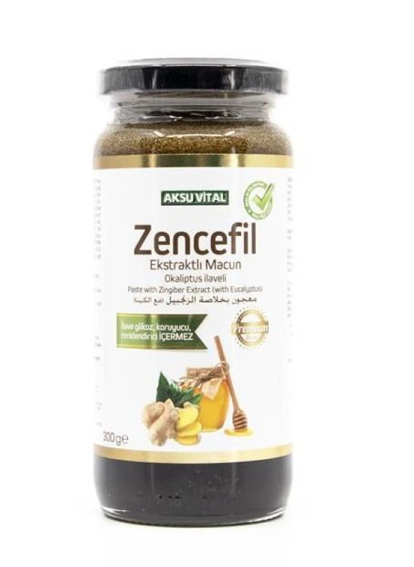 M02371 ZENCEFİL EKS.MACUN 300 GR