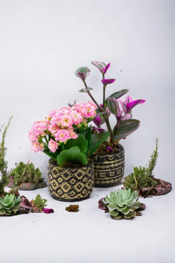 2 adet dekoratif saksıda Çiçek aranjmanı ürün görseli