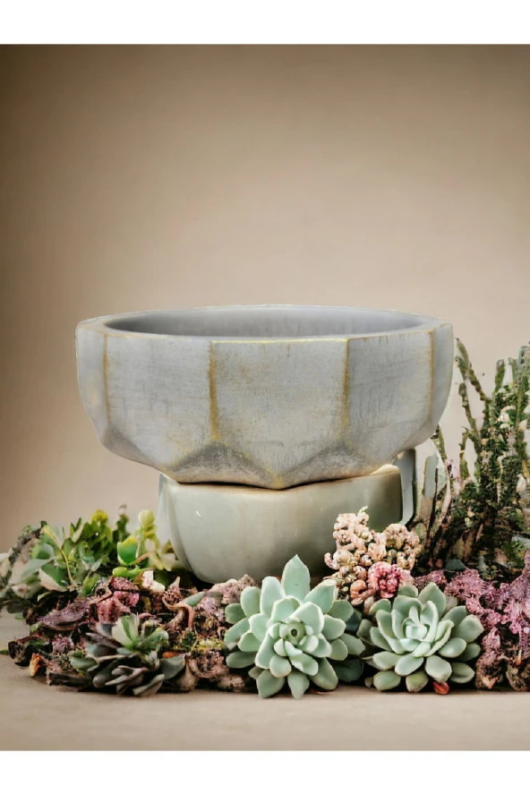 Geometrik Kaktüs Sukulent Aranjman Saksısı - Resim 2