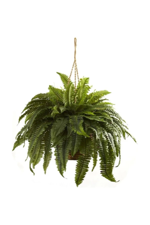 Aşk Merdiveni  30x50 cm ürün görseli